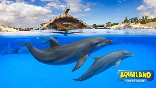 Royal Ocean View - Top Localization Costa Adeje  Exterior photo